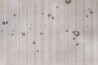 Tapete Universo GLIX762B - GLAMORA
