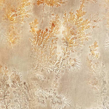 Wallpaper GLFO124A OCTOCORALLIA - GLAMORA