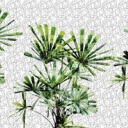 GLGE123A CUBIC PLANT de GLAMORA