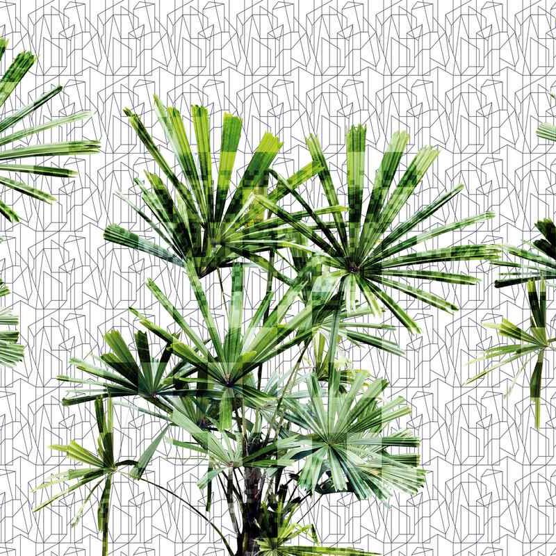 GLGE123A CUBIC PLANT de GLAMORA