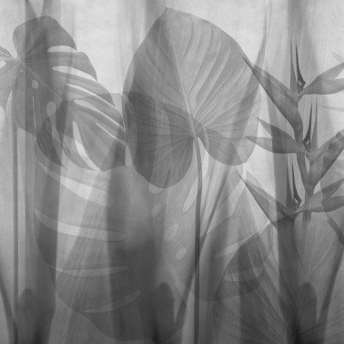 Papel de parede GLRO103B EQUATORIAL JUNGLE - GLAMORA