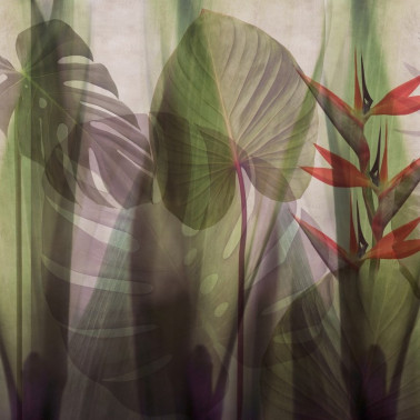 Wallpaper GLRO104B EQUATORIAL JUNGLE - GLAMORA