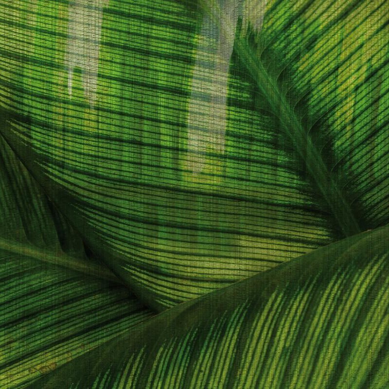GLRO121B LEAF de GLAMORA