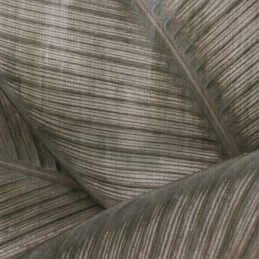 Wallpaper GLRO123A LEAF - GLAMORA