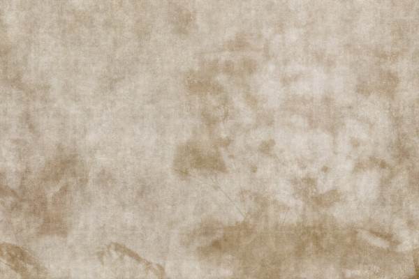 Carta da Parati Agua de Sombra GLAG143B - GLAMORA