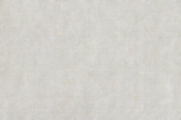 Papel Pintado Equinox GLNF122B - GLAMORA