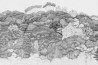 Papier peint Fleur Des Bois GLPA112A - GLAMORA