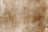 Carta da Parati Zenith GLNF113B - GLAMORA