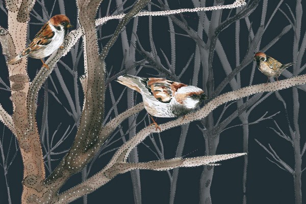 Papel de parede SB8A-WINTERVOGEL - GLAMORA