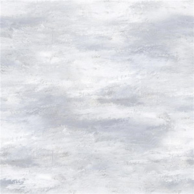 Carta da Parati PDG677-05 CIELO - CLOUD - Designers Guild