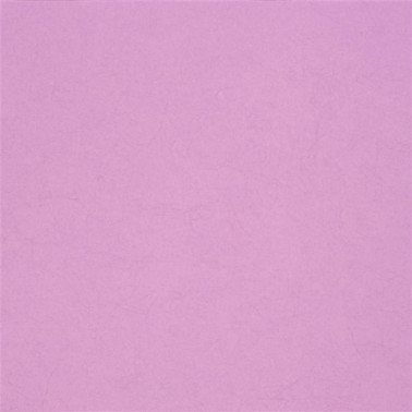 Wallpaper P502-40 ERNANI - PEONY - Designers Guild