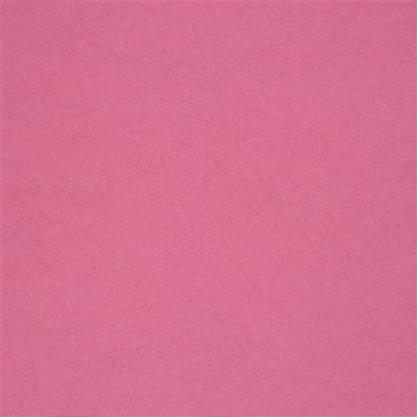 Carta da Parati P502-41 ERNANI - FUCHSIA - Designers Guild Carta da Parati P502-41 ERNANI - FUCHSIA - Designers Guild