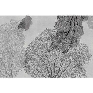 Papel de parede CINNAMON GLCB11B - GLAMORA