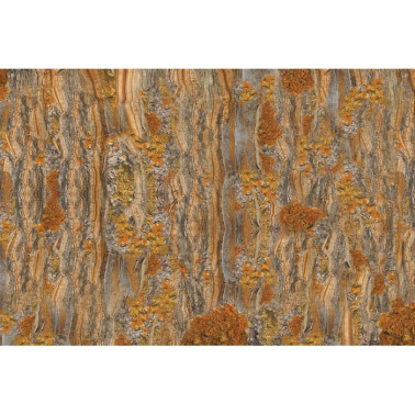 Wallpaper CRICKET GLCR074A - GLAMORA