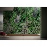 Wallpaper GARDEN GLPI20A - GLAMORA