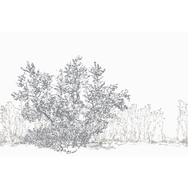 Wallpaper GIUGGIOLA GLNC30C - GLAMORA
