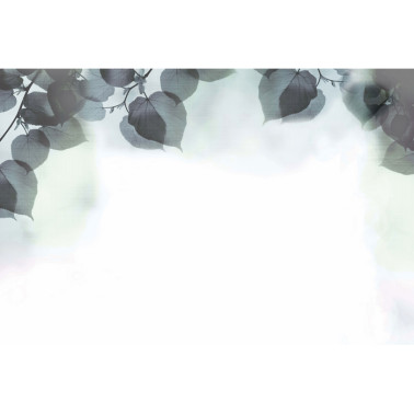 Papier peint SHADOW GLFR31B - GLAMORA