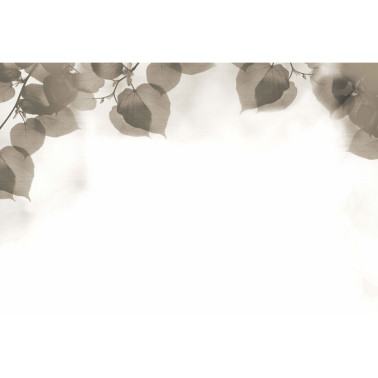 Papel de parede SHADOW GLFR33B - GLAMORA