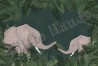Tapete Jungle - LITTLE HANDS
