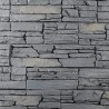 LAJA GALLEGA PR81 GRIS
