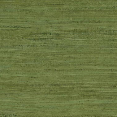 Carta da Parati Tasar 72020 - Arte