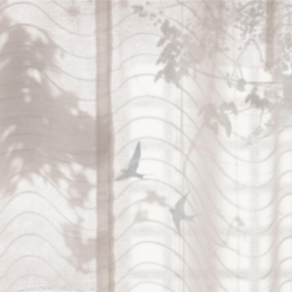 Tapete Hortus Umbra M2609-1 Mural - Tres Tintas Tapete Hortus Umbra M2609-1 Mural - Tres Tintas