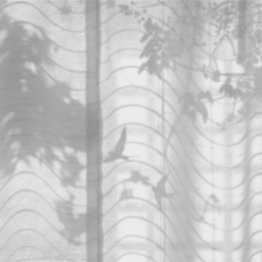 Papel Pintado Hortus Umbra M2609-3 Mural - Tres Tintas