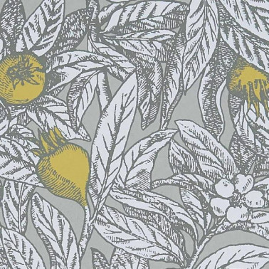 Carta da Parati Medlar W7458-02 - OSBORNE and LITTLE