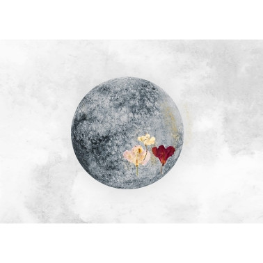 Papel Pintado Full Moon Blue Mural 8500151 - COORDONNE