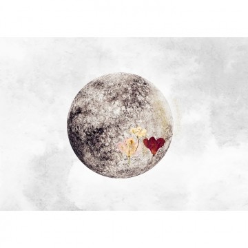 Plein lune Nude Mural 8500150