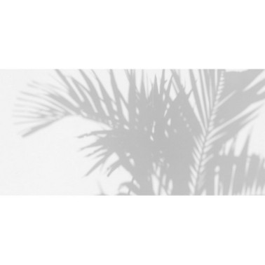 Papel de parede PALM SHADOW DOM148 - LES DOMINOTIERS