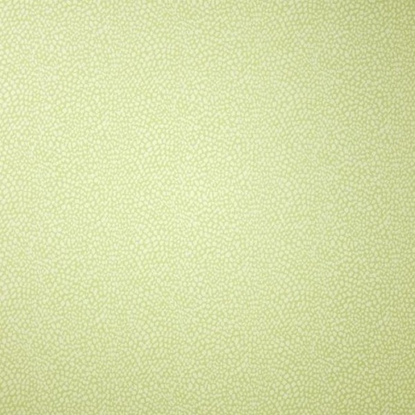 Wallpaper Oriole W6491-05 - OSBORNE and LITTLE Wallpaper Oriole W6491-05 - OSBORNE and LITTLE
