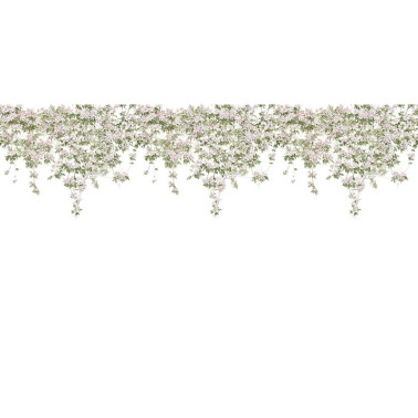 Papier peint Classic Clematis Mural Wallpaper White - SIAN ZENG