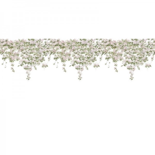Carta da Parati Classic Clematis Mural Wallpaper White - SIAN ZENG