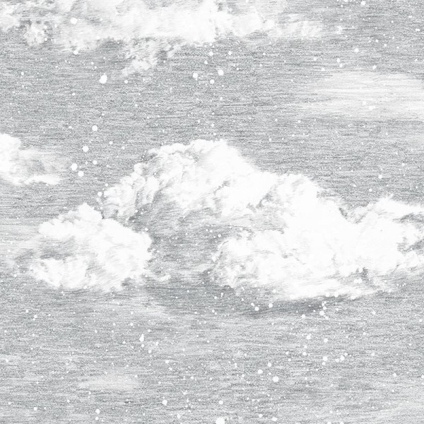 Papel Pintado Classic Seasons Wallpaper Winter Snowdrift - SIAN ZENG