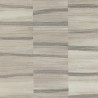 Savanna Shell MW102-01
