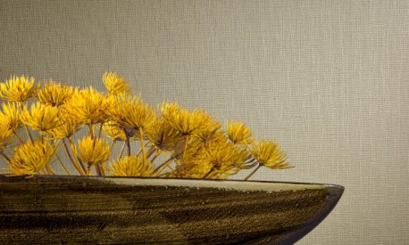 Wallpaper Stream 67341 - ARTE CONTRACT