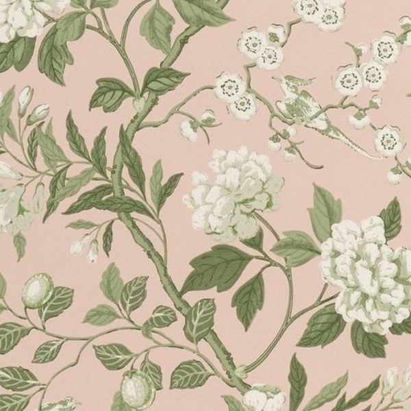 Papel de parede Emperors Garden Blush BW4500011 - GP & JBAKER Papel de parede Emperors Garden Blush BW4500011 - GP & JBAKER