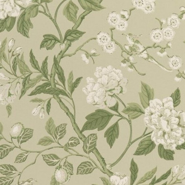 Papier peint Emperors Garden Soft Green BW4500010 - GP & JBAKER