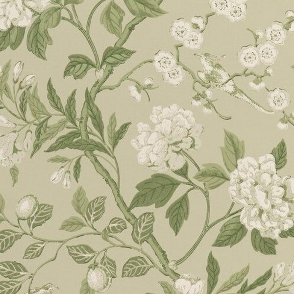 Papel de parede Emperors Garden Soft Green BW4500010 - GP & JBAKER Papel de parede Emperors Garden Soft Green BW4500010 - GP & JBAKER