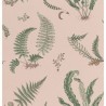 Ferns Blush BW4504411