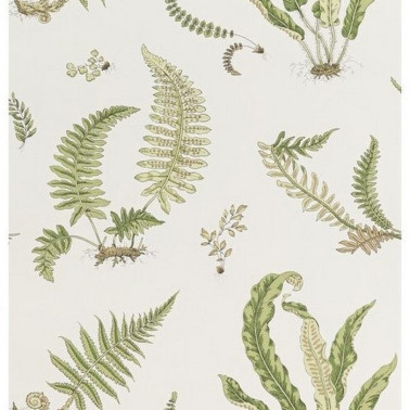 Wallpaper Ferns Leaf BW4504410 - GP & JBAKER