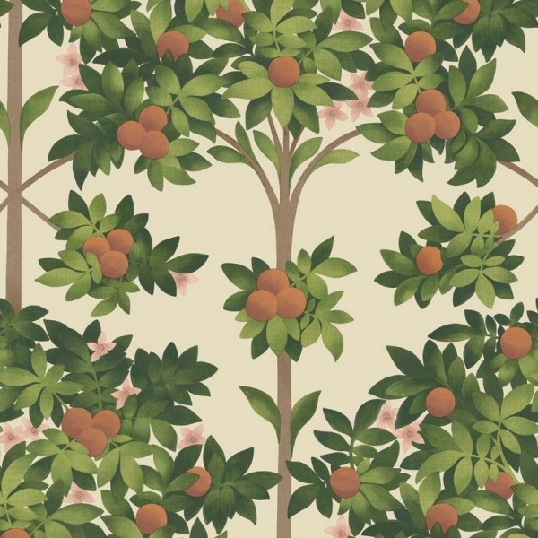 Papel de parede Orange Blossom 117-1001 - COLE and SON Papel de parede Orange Blossom 117-1001 - COLE and SON