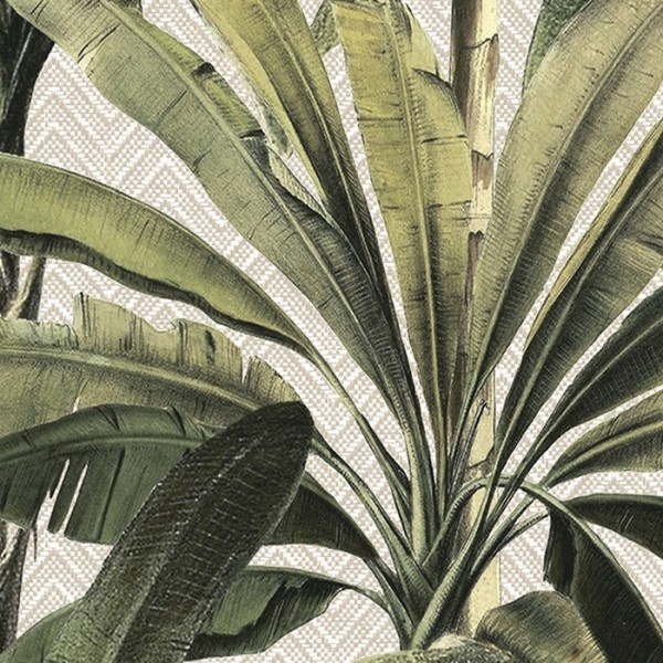 Carta da Parati Palmera 11140 - Arte Carta da Parati Palmera 11140 - Arte