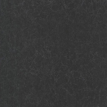 Carta da Parati Oxford Lewis Noir 84079422 - Casadeco