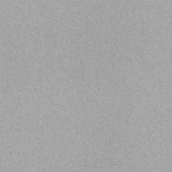 Wallpaper Shadow Gris Argente 13219424 - Casadeco Wallpaper Shadow Gris Argente 13219424 - Casadeco