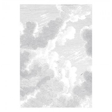 WP-621 Mural Engraved Clouds