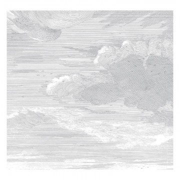 WP-635 Mural Engraved Clouds