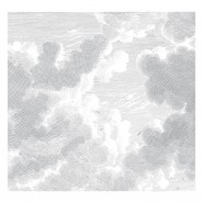 WP-636 Mural Engraved Clouds