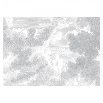 WP-651 Mural Engraved Clouds